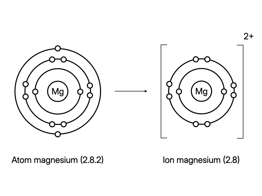 Rajah petala elektron menunjukkan atom magnesium kehilangan dua elektron untuk membentuk ion Mg²⁺ dengan oktet yang stabil
