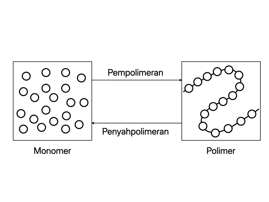 Rajah membandingkan pempolimeran apabila monomer bergabung membentuk polimer dengan penyahpolimeran apabila polimer terurai menjadi monomer
