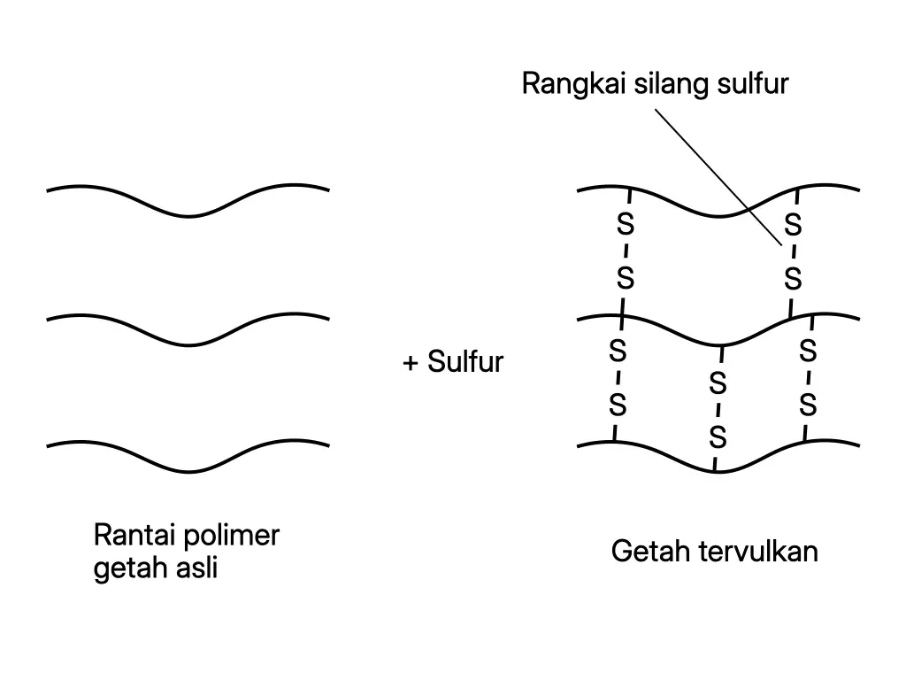 Rajah menunjukkan rangkai silang sulfur terbentuk antara rantai polimer getah semasa pemvulkanan