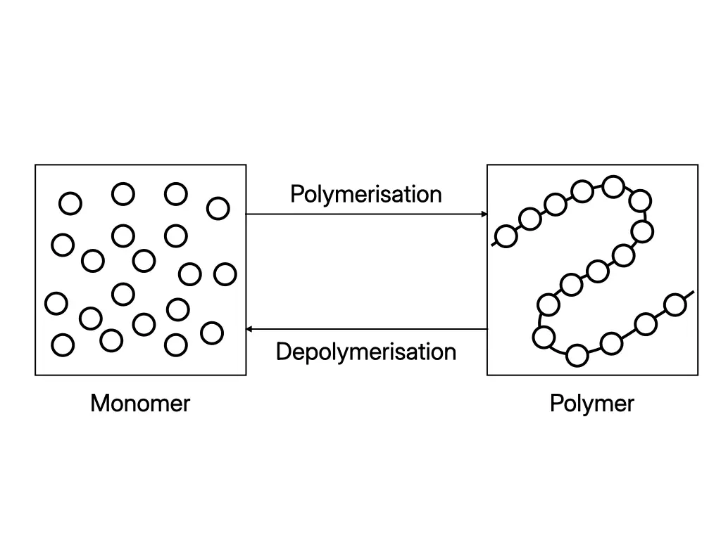 Diagram comparing polymerisation, where monomers join to form a polymer, with depolymerisation, where a polymer breaks into monomers